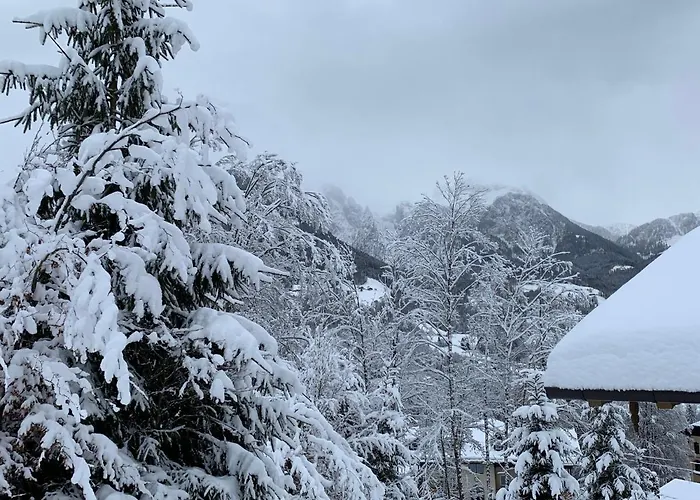 Alpenvilla * Berchtesgaden