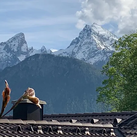 Appartement Alpenvilla *